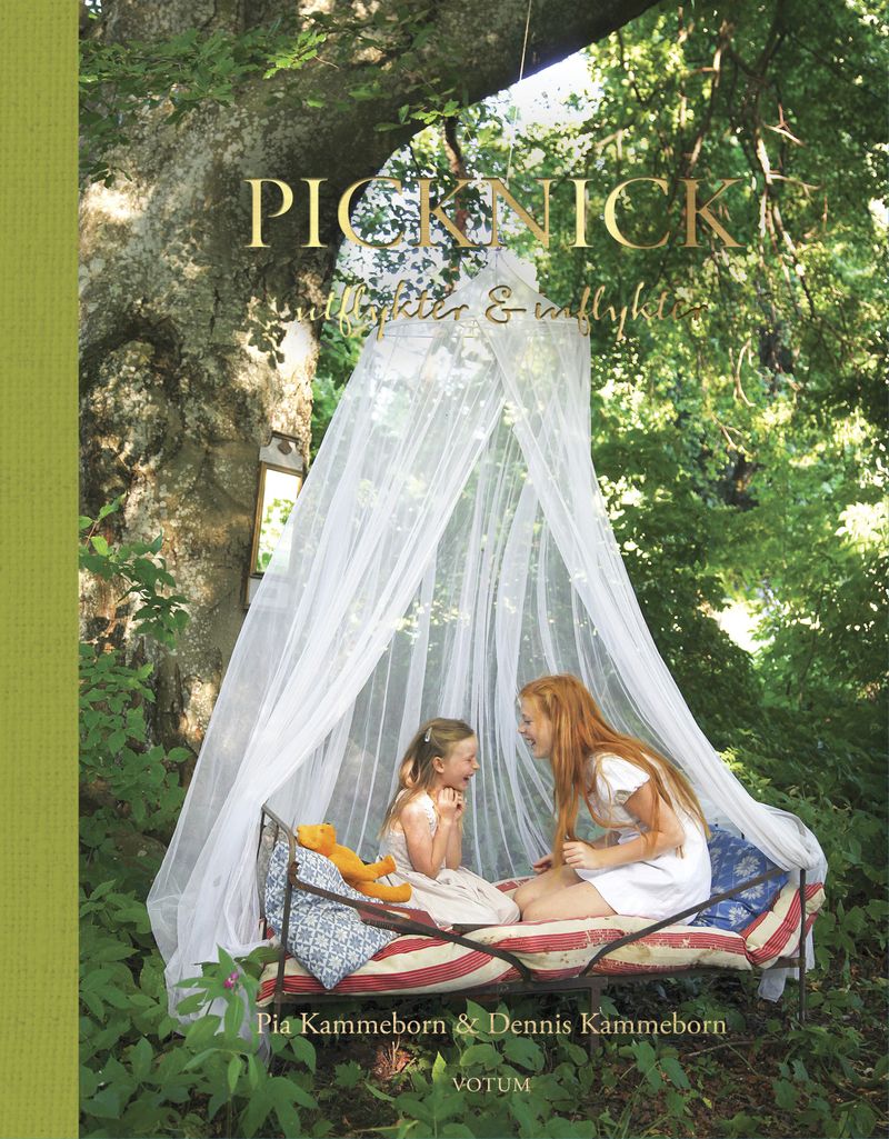 Picknick : utflykter &amp; inflykter