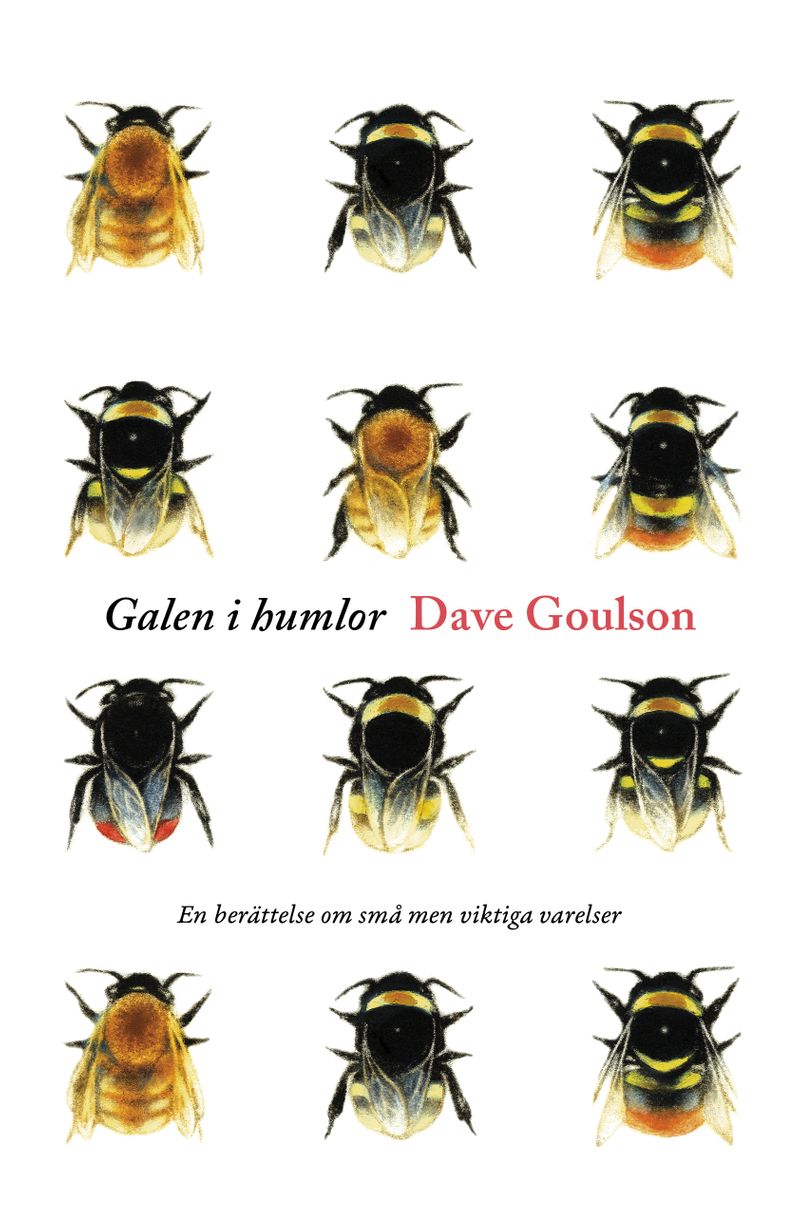 Galen i humlor