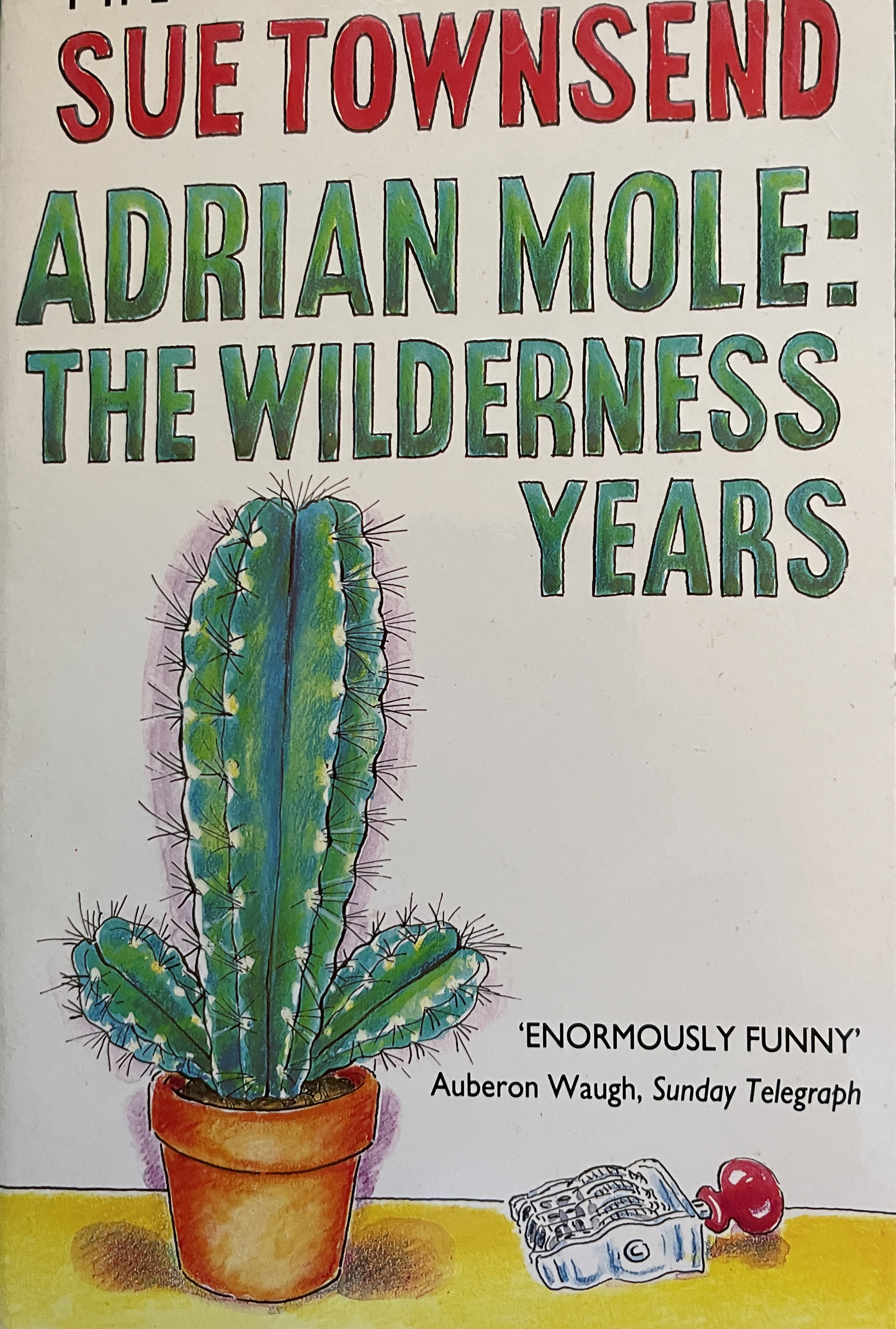 Adrian Mole: The Wilderness years