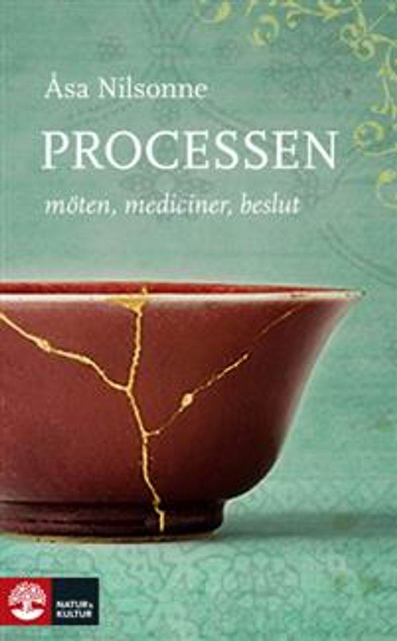 Processen : möten, mediciner, beslut