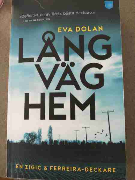 Lång väg hem