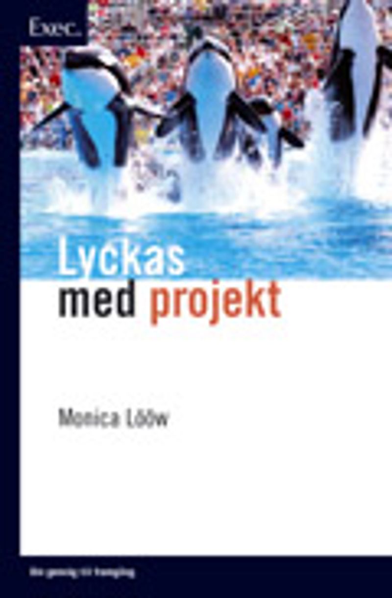 Lyckas med projekt - Exec