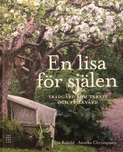 En lisa för själen