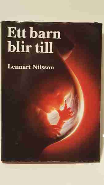 Ett barn blir till