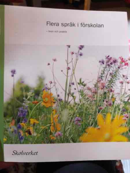 Flera språk i förskolan 