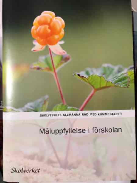Måluppfyllelse i förskolan 