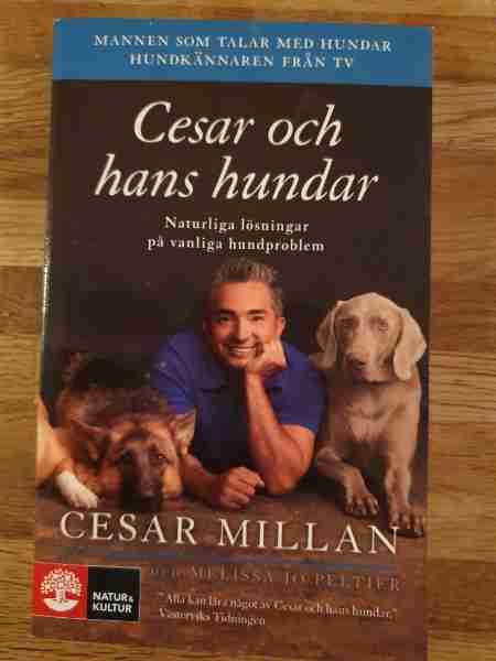 Cesar och hans hundar