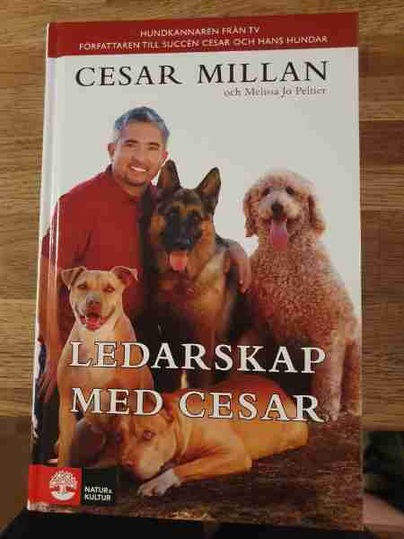 Ledarskap med Cecar
