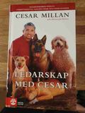 Ledarskap med Cecar
