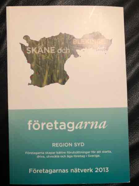 Företagarna Region Syd nätverk 2013