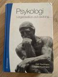 Psykologi i organisation och ledning