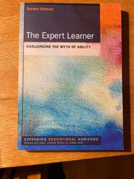 The Expert Learner