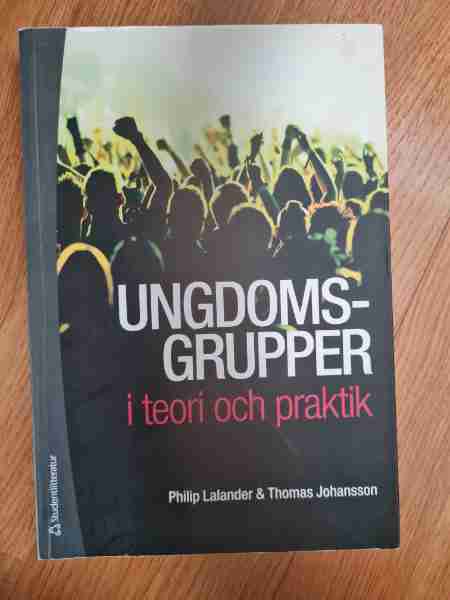 Ungdomsgrupper i teori och praktik