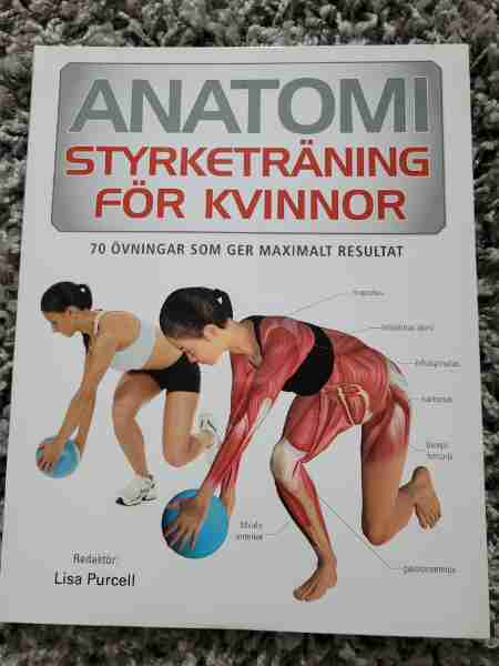 Anatomi - styrketräning för kvinnor