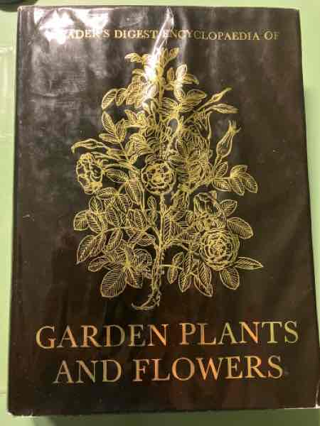 Garden plants and flowers