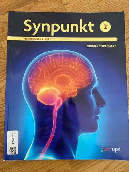 Synpunkt 2