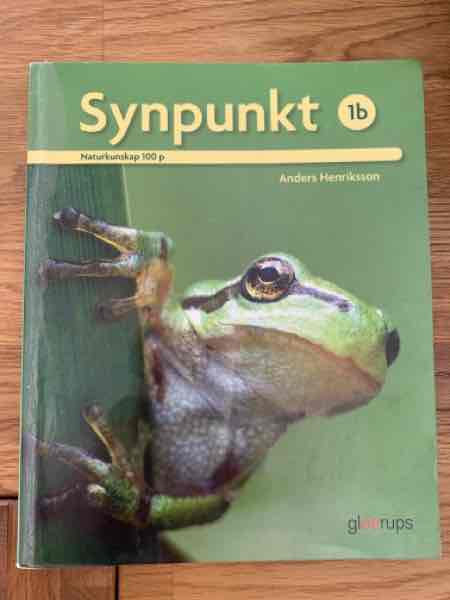 Synpunkt 1b