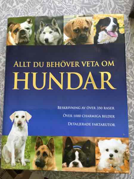 Allt du behöver veta om hundar