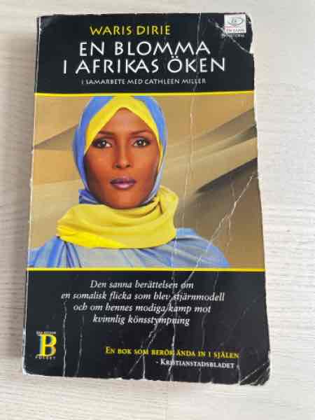En blomma i Afrikas öken