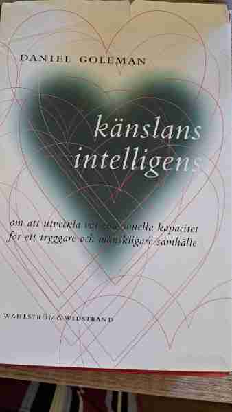 Känslan intelligens 