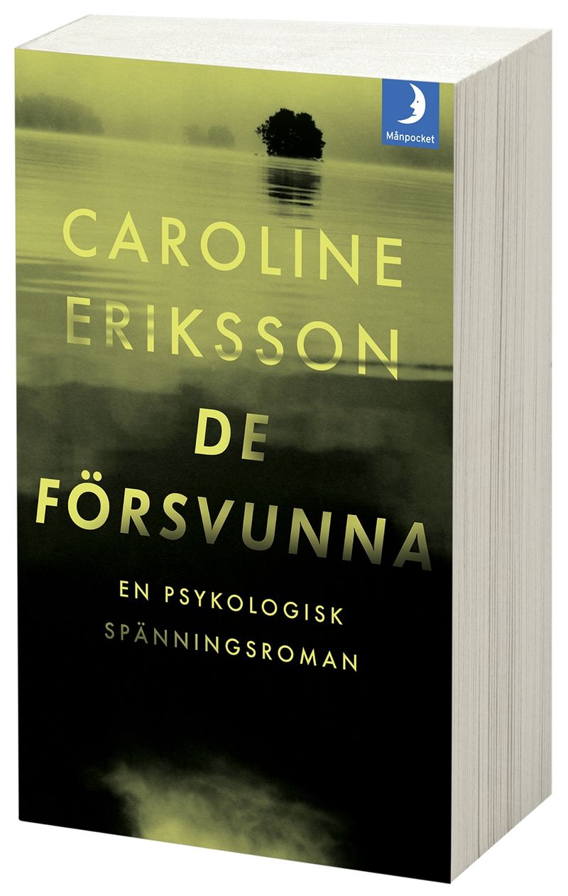 De försvunna