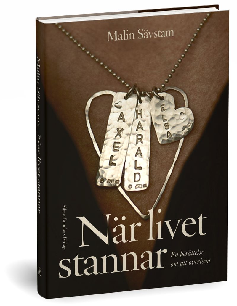 När livet stannar : en berättelse om att överleva