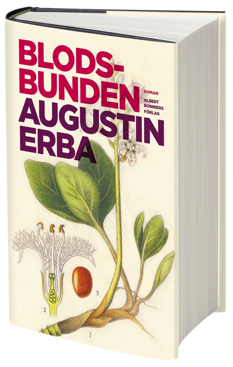 Blodsbunden