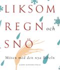 Liksom regn och snö : möten med den nya Bibeln