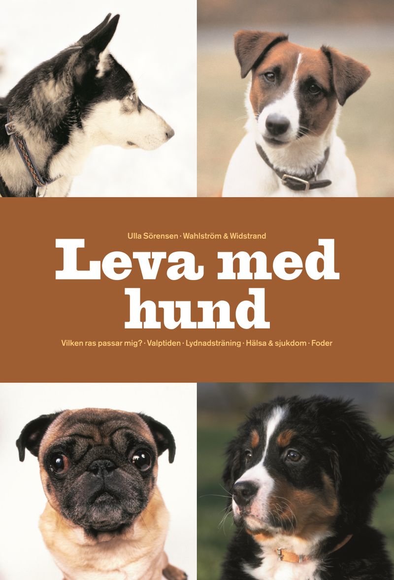Leva med hund