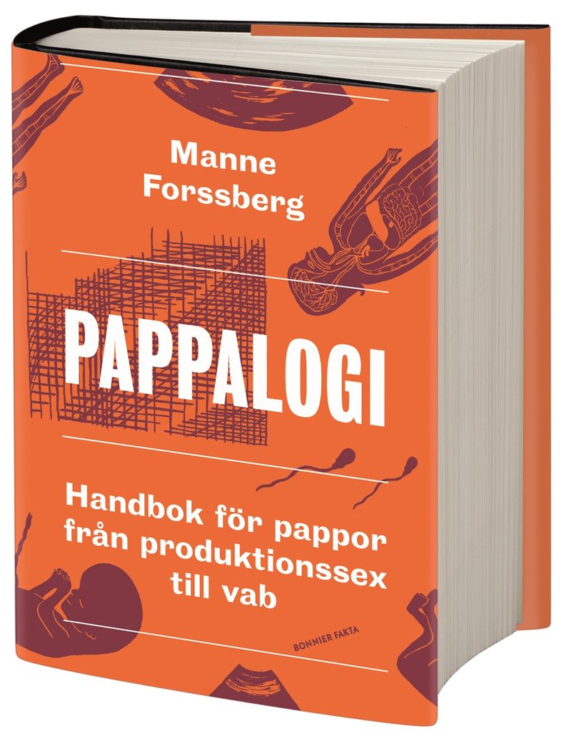 Pappalogi : handbok för pappor från produktionssex till vab