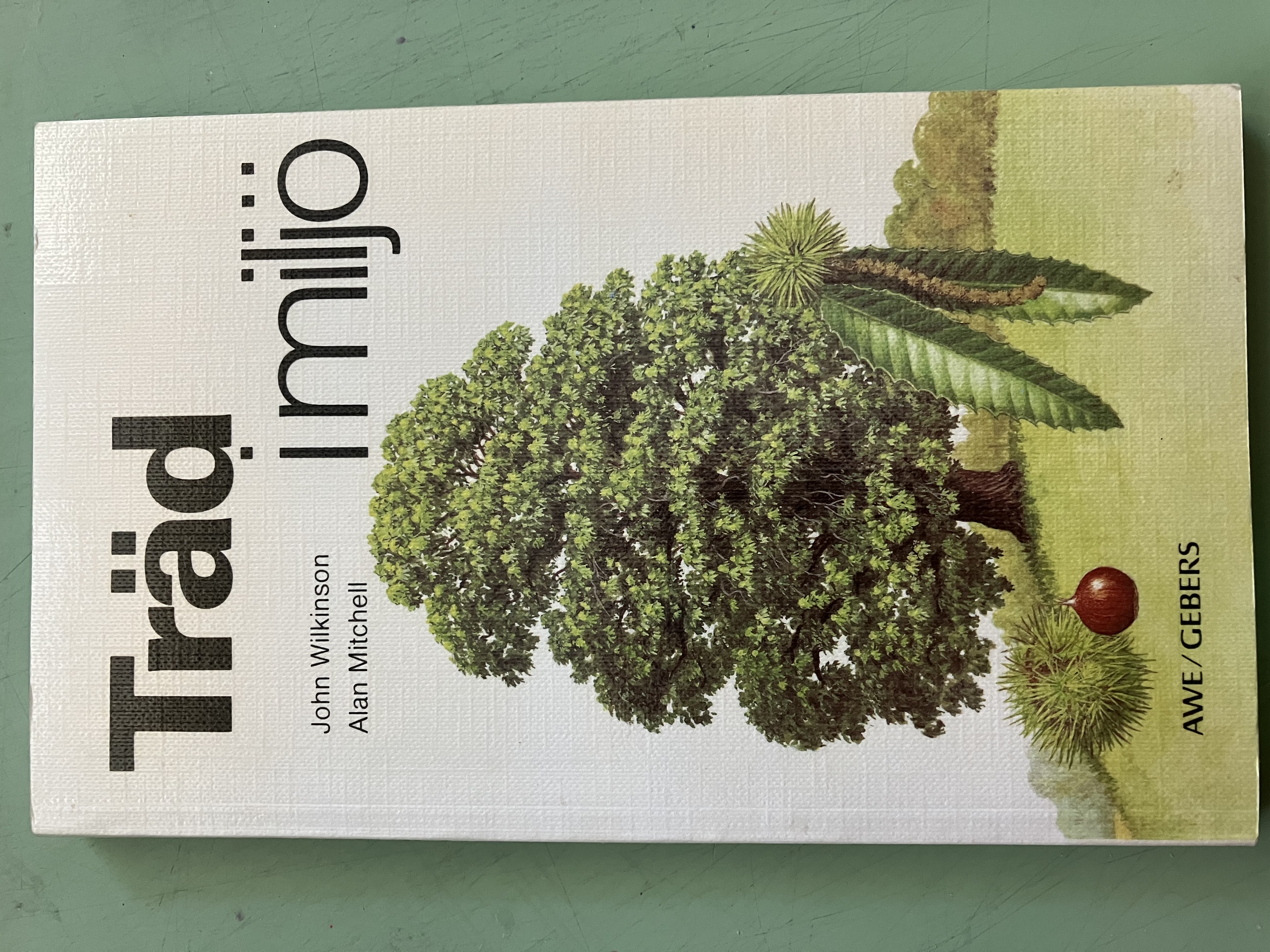 Träd i miljö