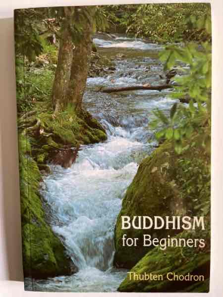 Buddhism for Beginners