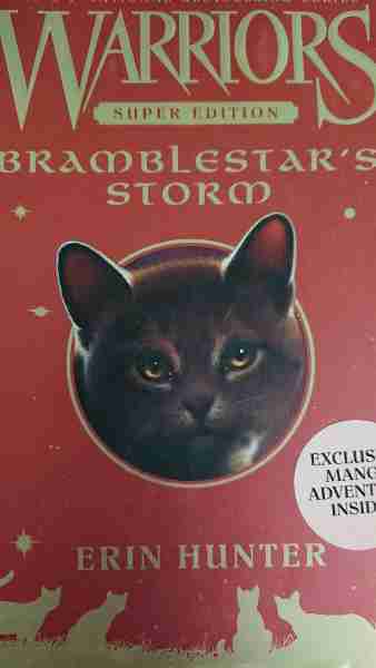 Bramblestar's storm