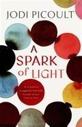 A Spark of Light