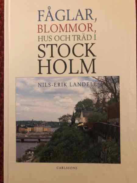 Fåglar, blommor, hus och träd i Stockholm