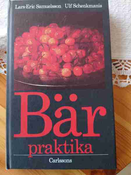 Bär praktika 