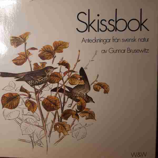 Skissbok