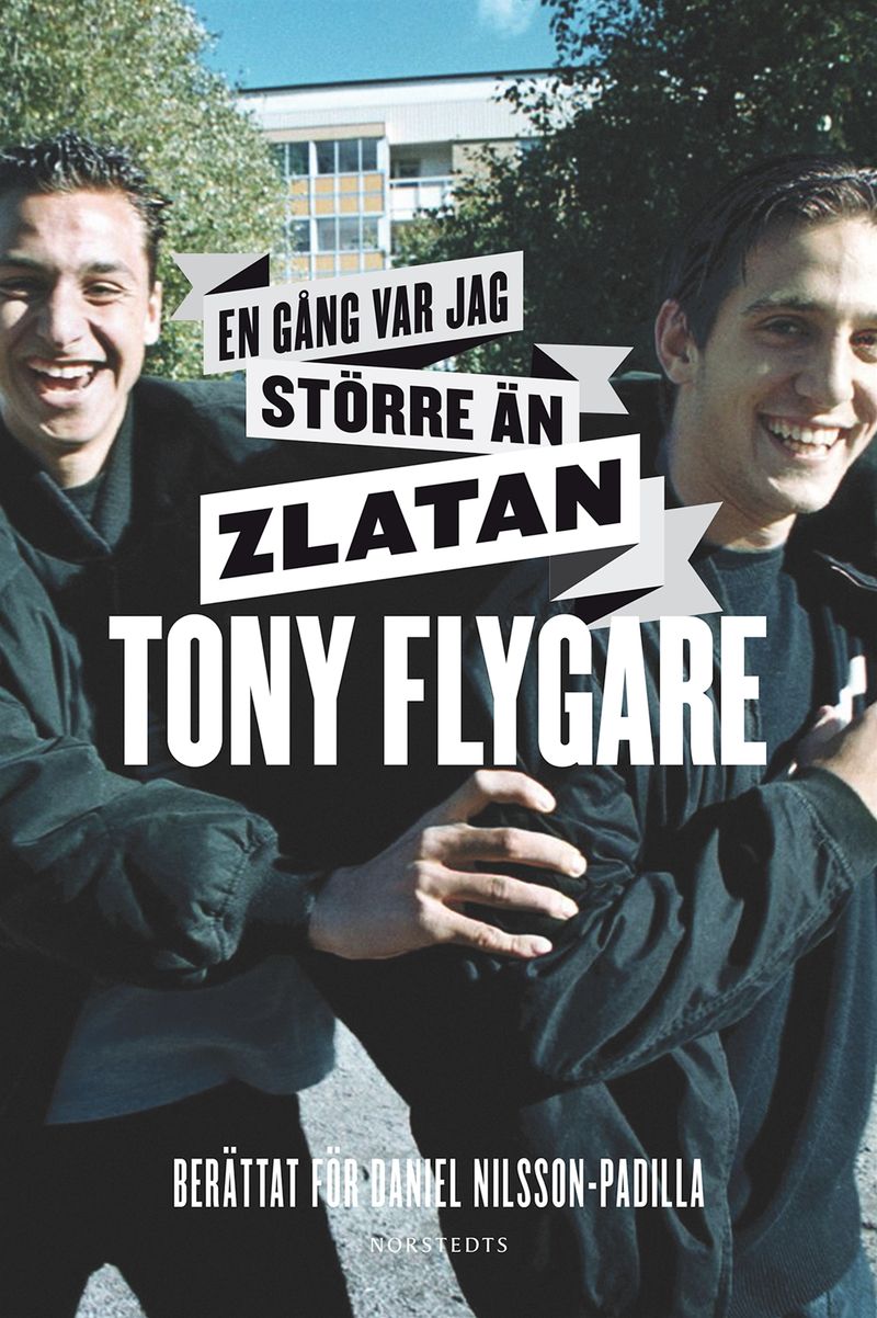 Flygare Tony Nilsson Daniel/En gång var jag större