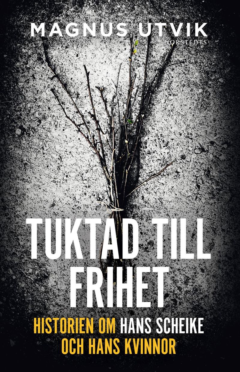 Tuktad till frihet : historien om Hans Scheike och hans kvinnor