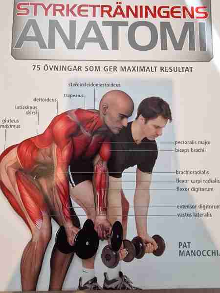 Styrketräningens anatomi