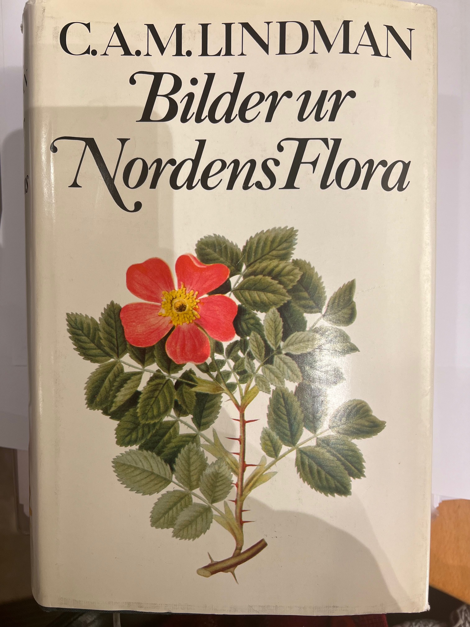 Nordens flora