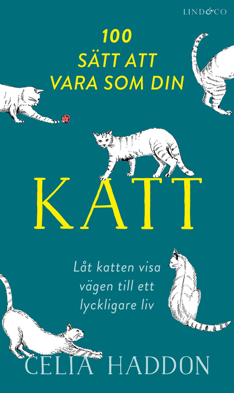 100 sätt att vara som din katt : låt katten visa vägen till ett lyckligare