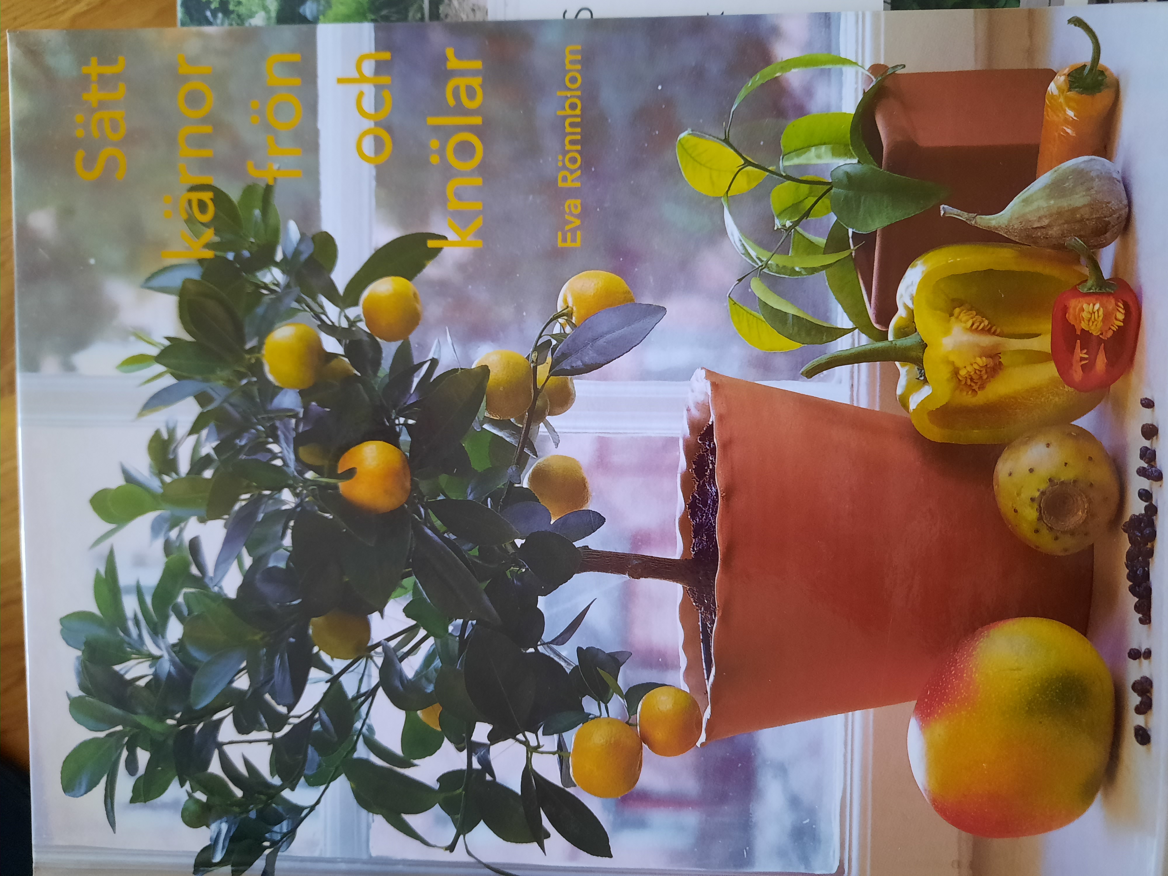 Sätt kärnor, frön och knölar