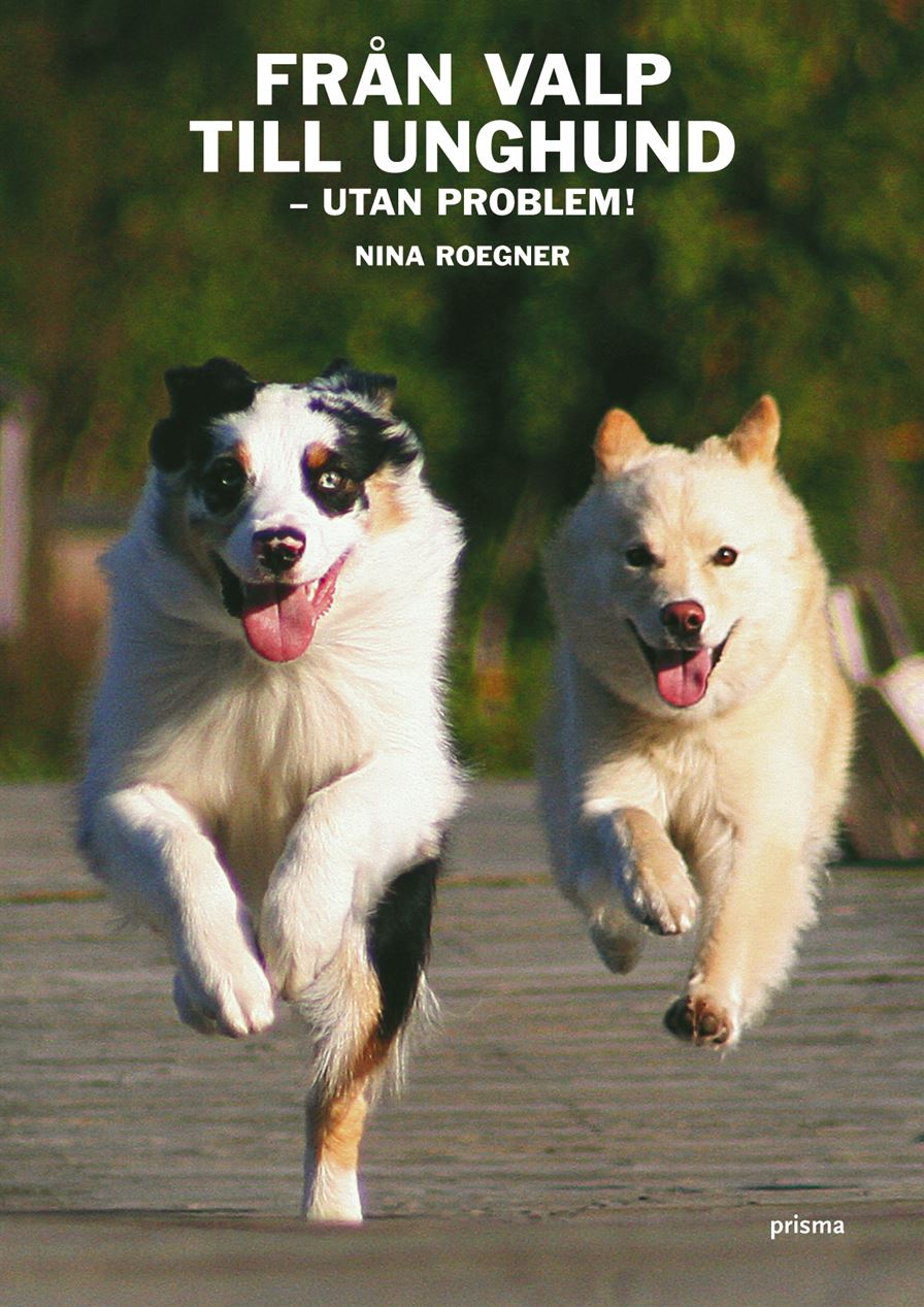 Från valp till unghund : utan problem!