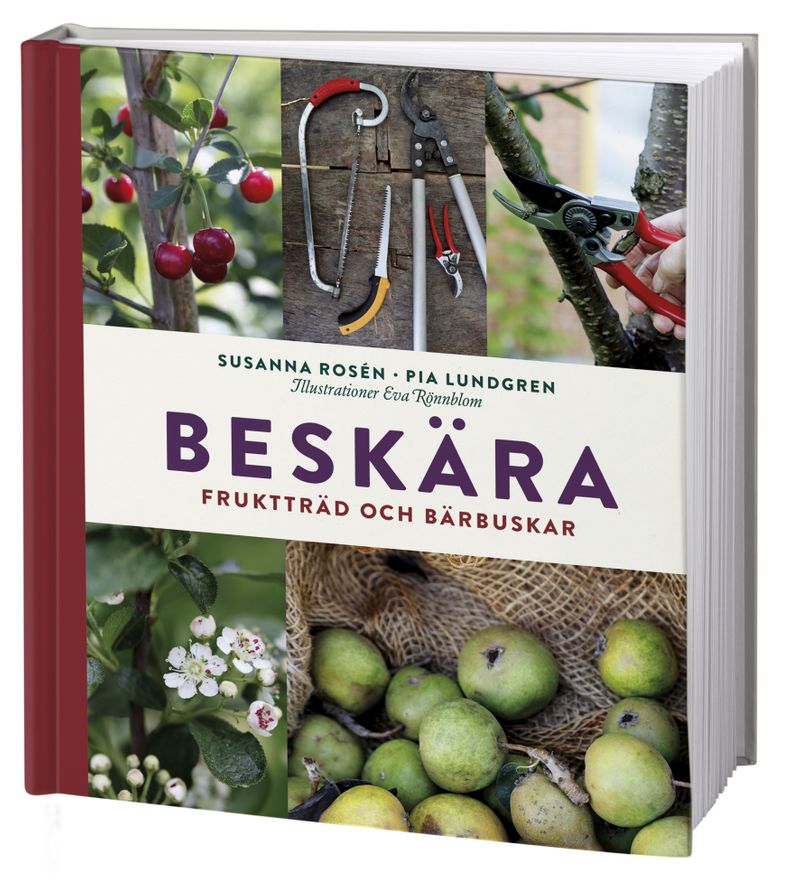 Beskära : fruktträd och bärbuskar