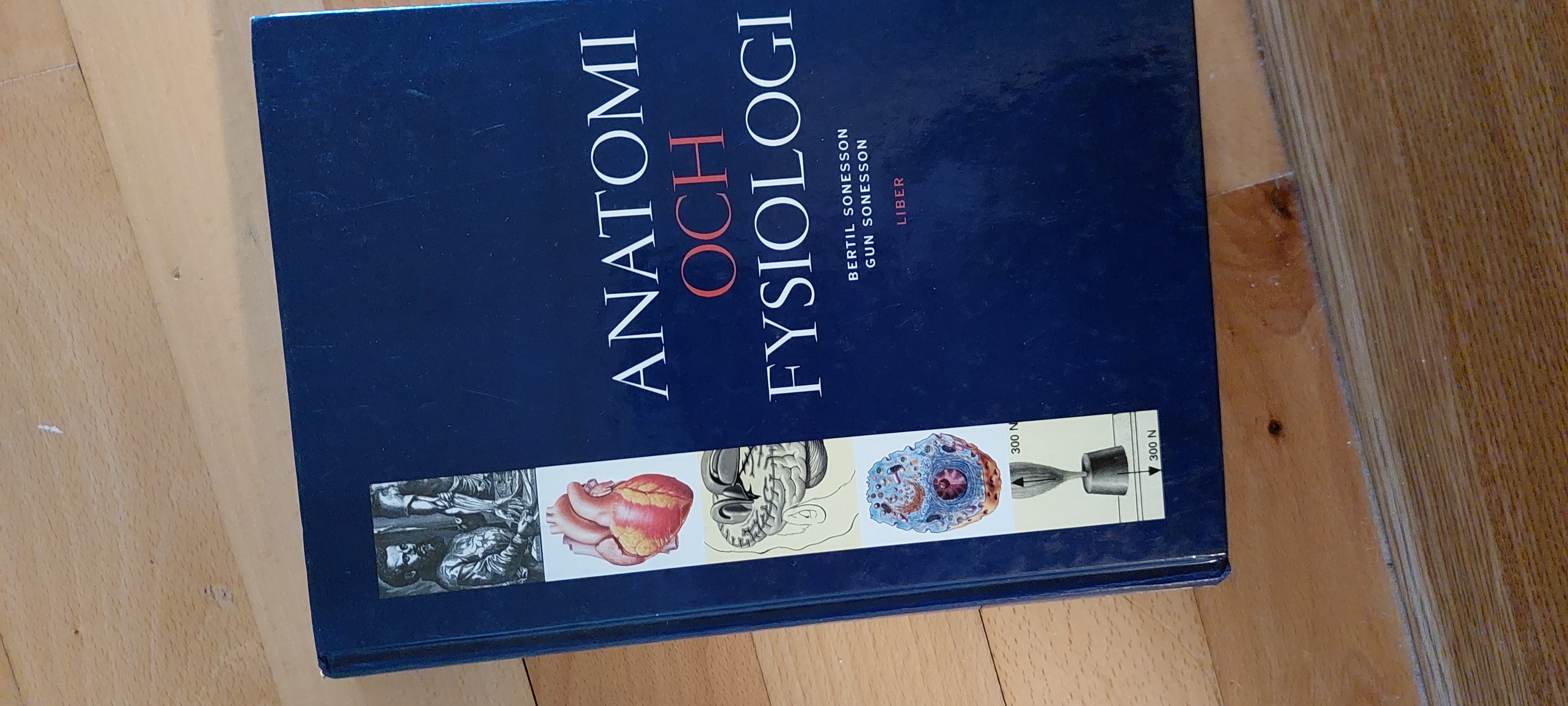 Anatomi och fysiologi