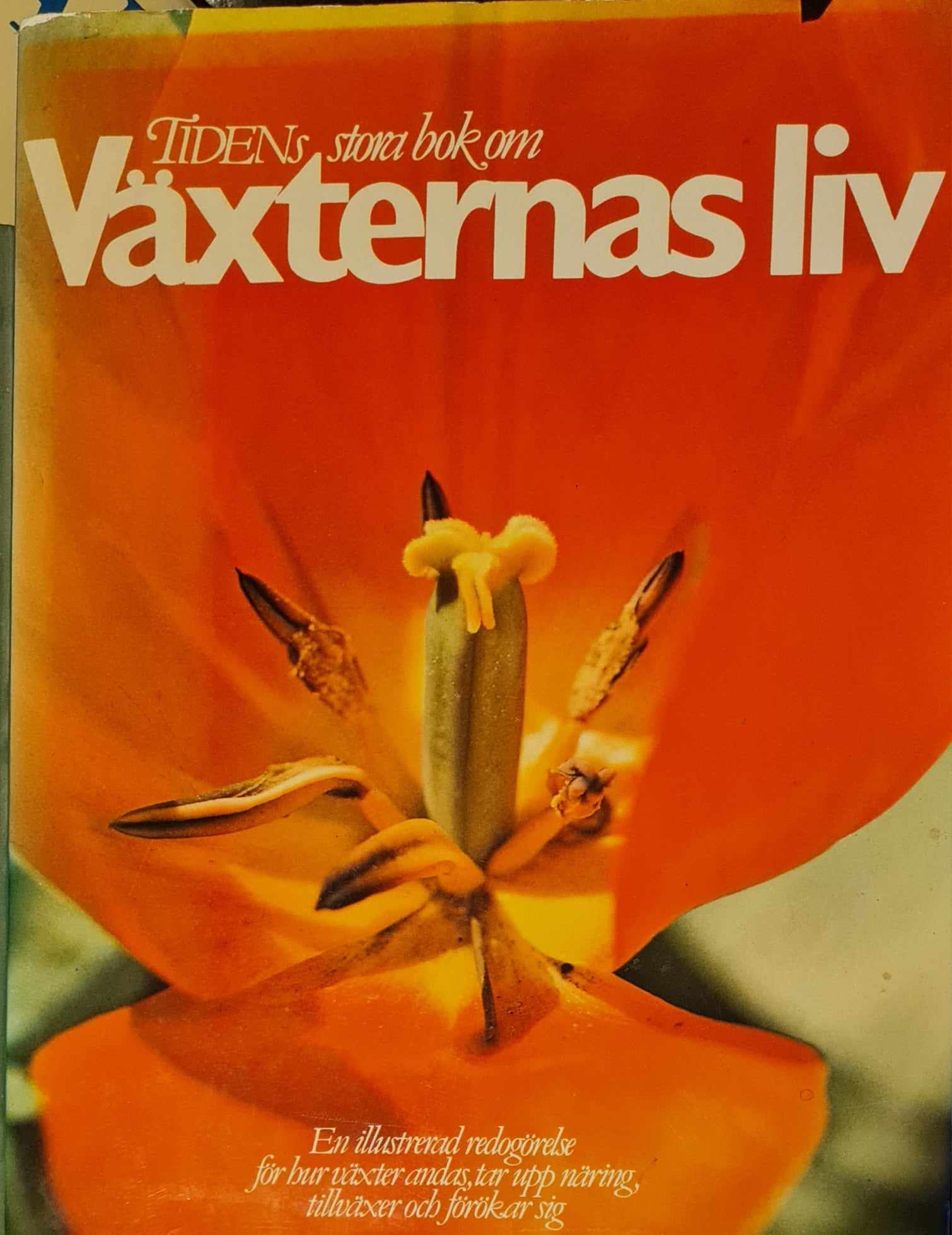Växternas Liv