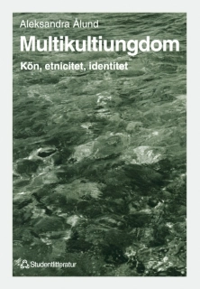 Multikultiungdom: Kön, etnicitet, identitet