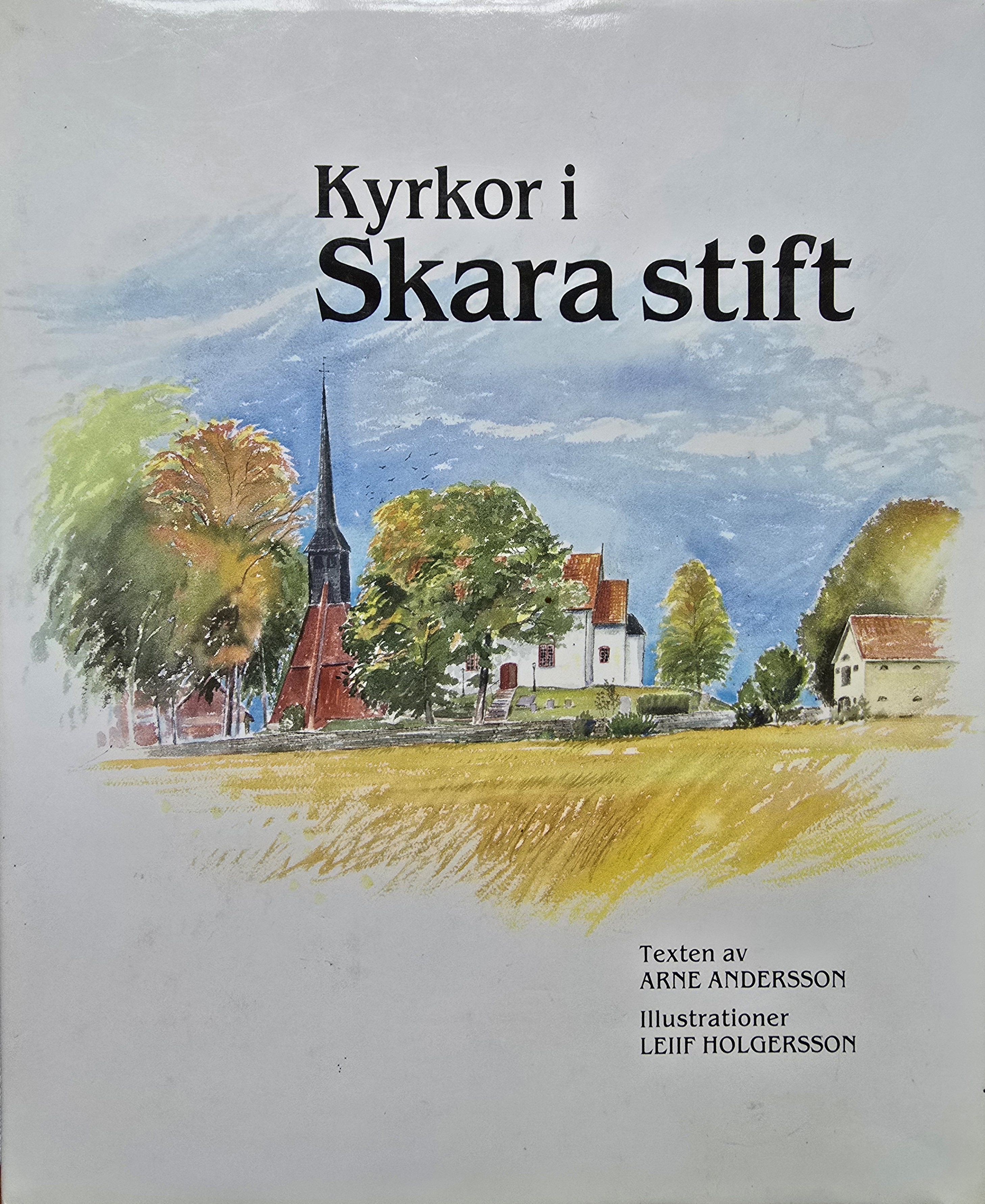 Kyrkor i Skara stift