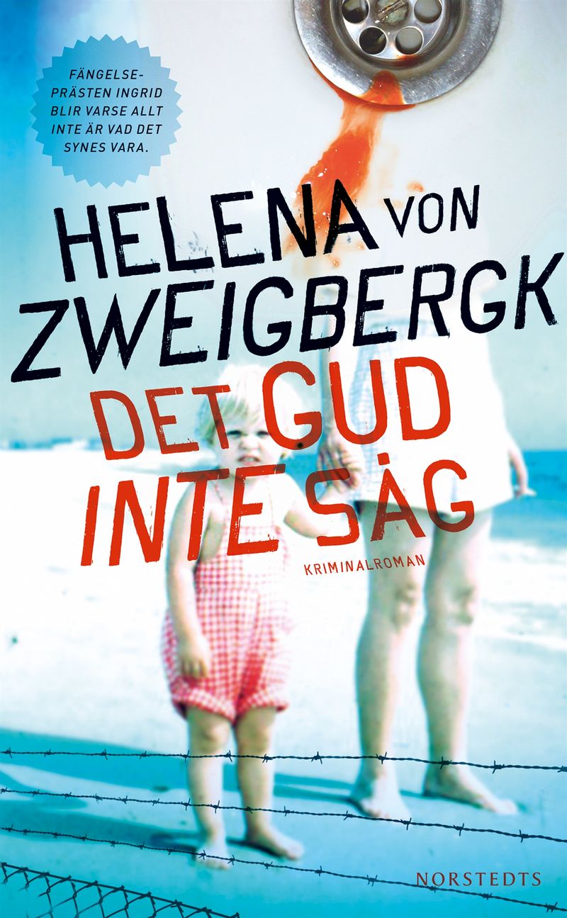 Zweigbergk von Helena/Det gud inte såg    Pocket